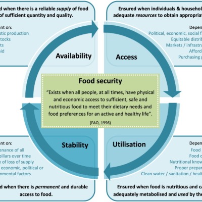 A Closer Look at the Four Pillars of Food Security