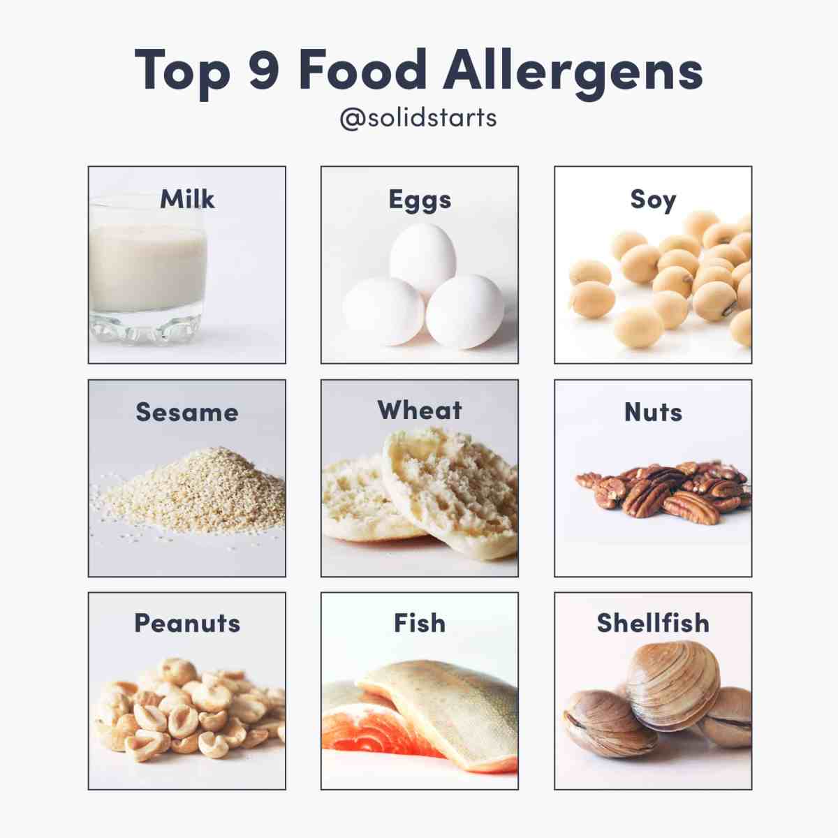 A Closer Look at the Most Common Allergens